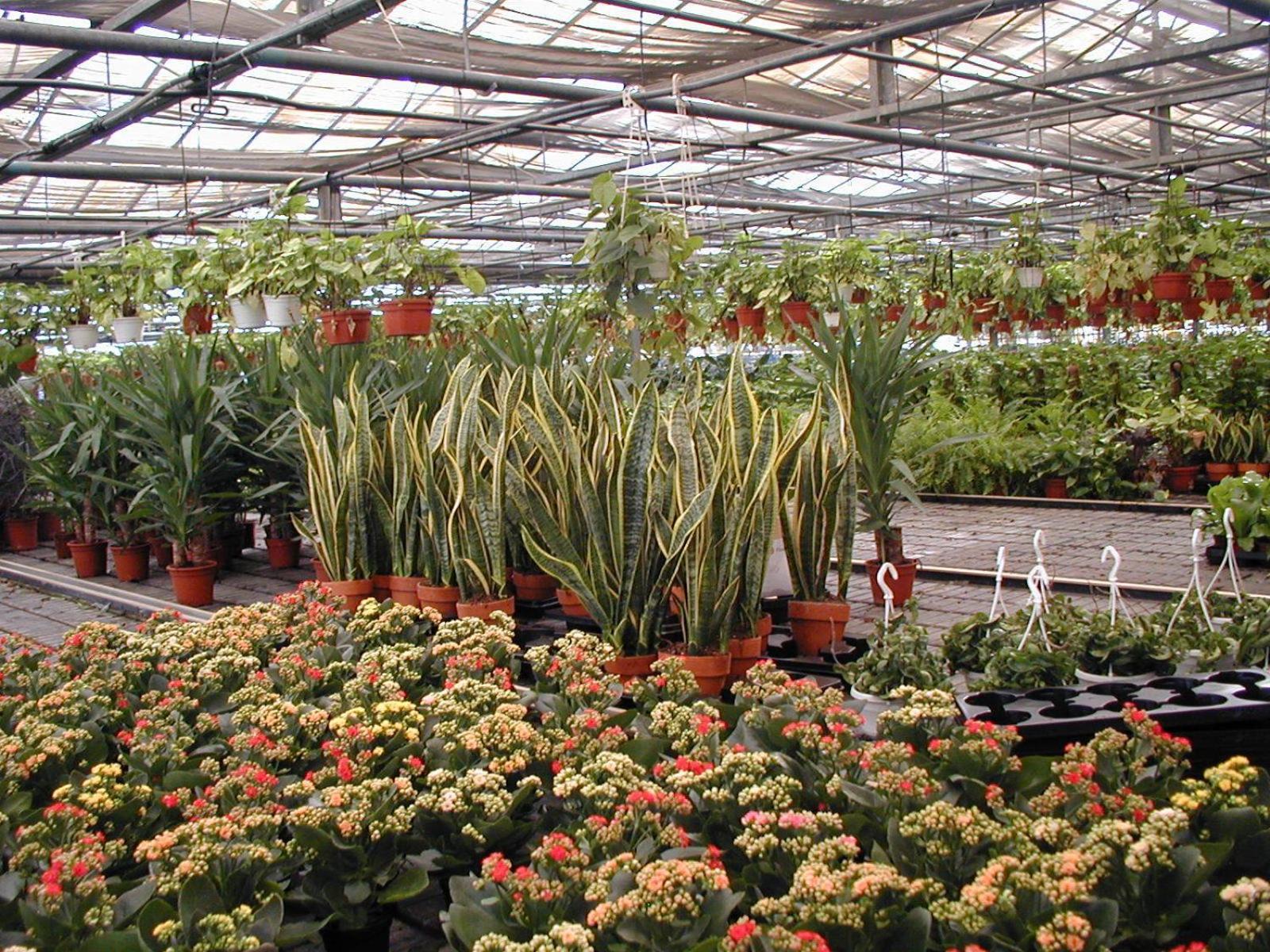 فيلا Societa Agricola Mg Florplant Francavilla Marittima المظهر الخارجي الصورة